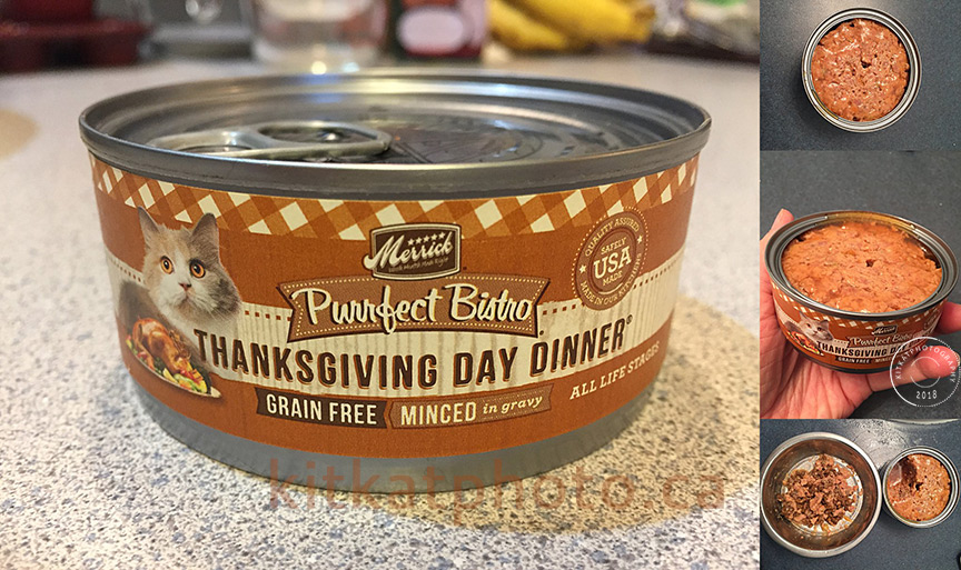 collage_thanksgiving-ONLINE-blog