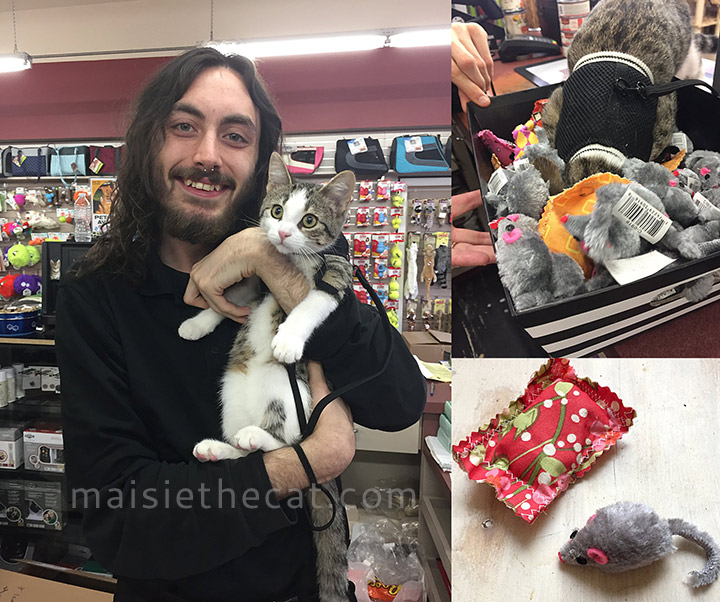 Global-Pet-Foods-on-Oct-31-collage-ONLINE