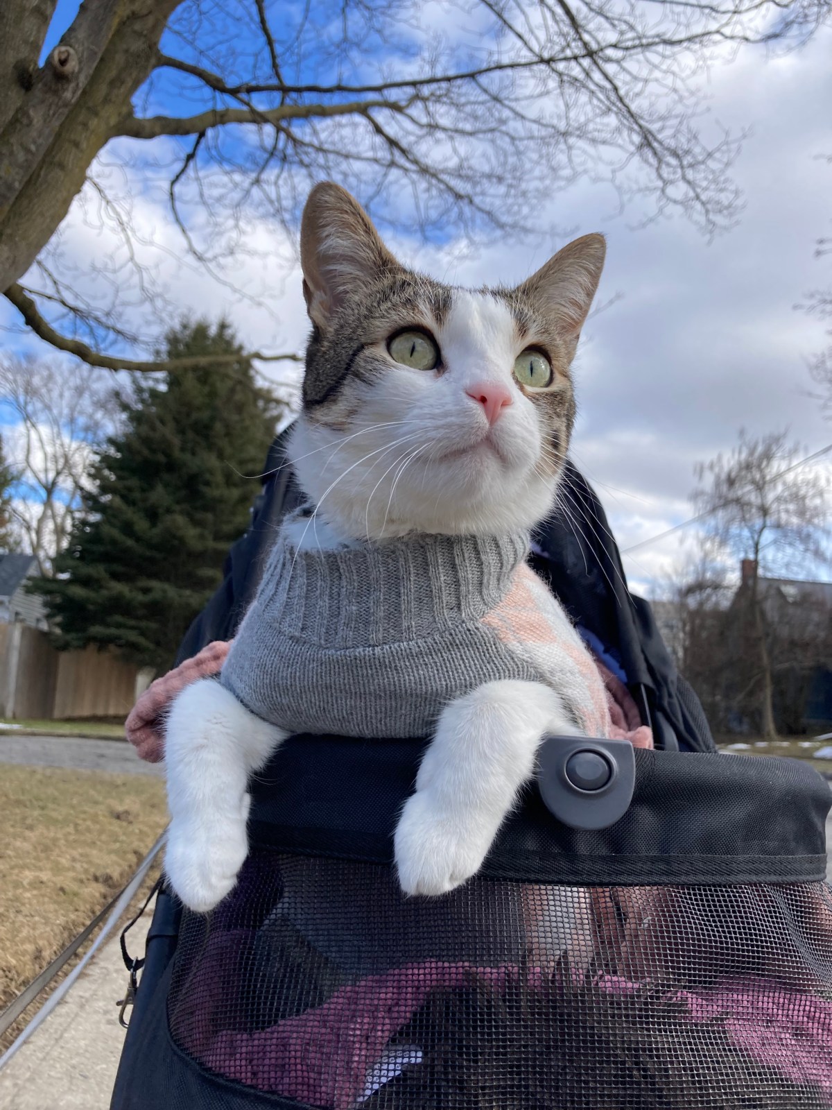 Walk The Blues&nbsp;Away